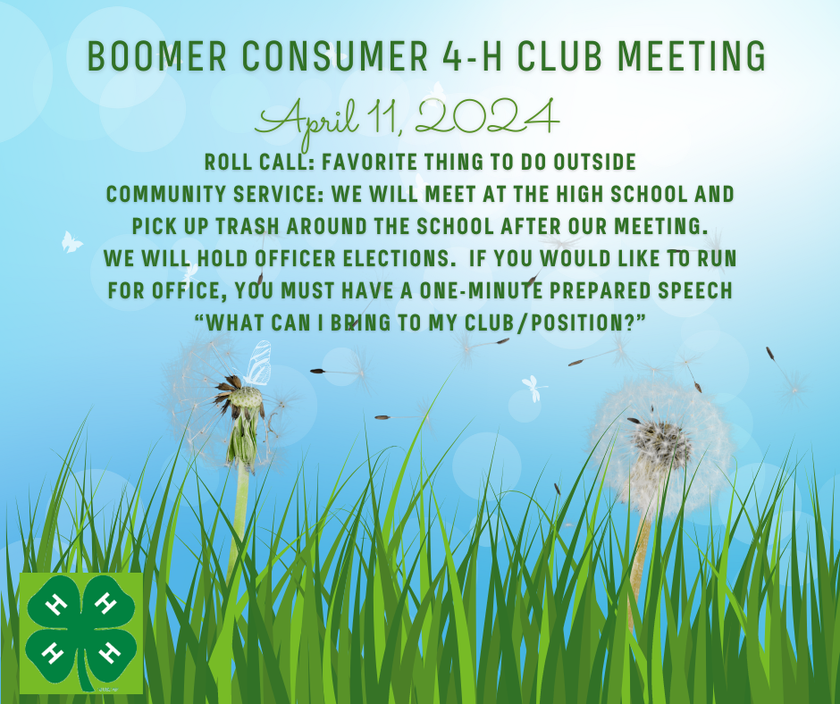 Boomer Consumer April 11 2024