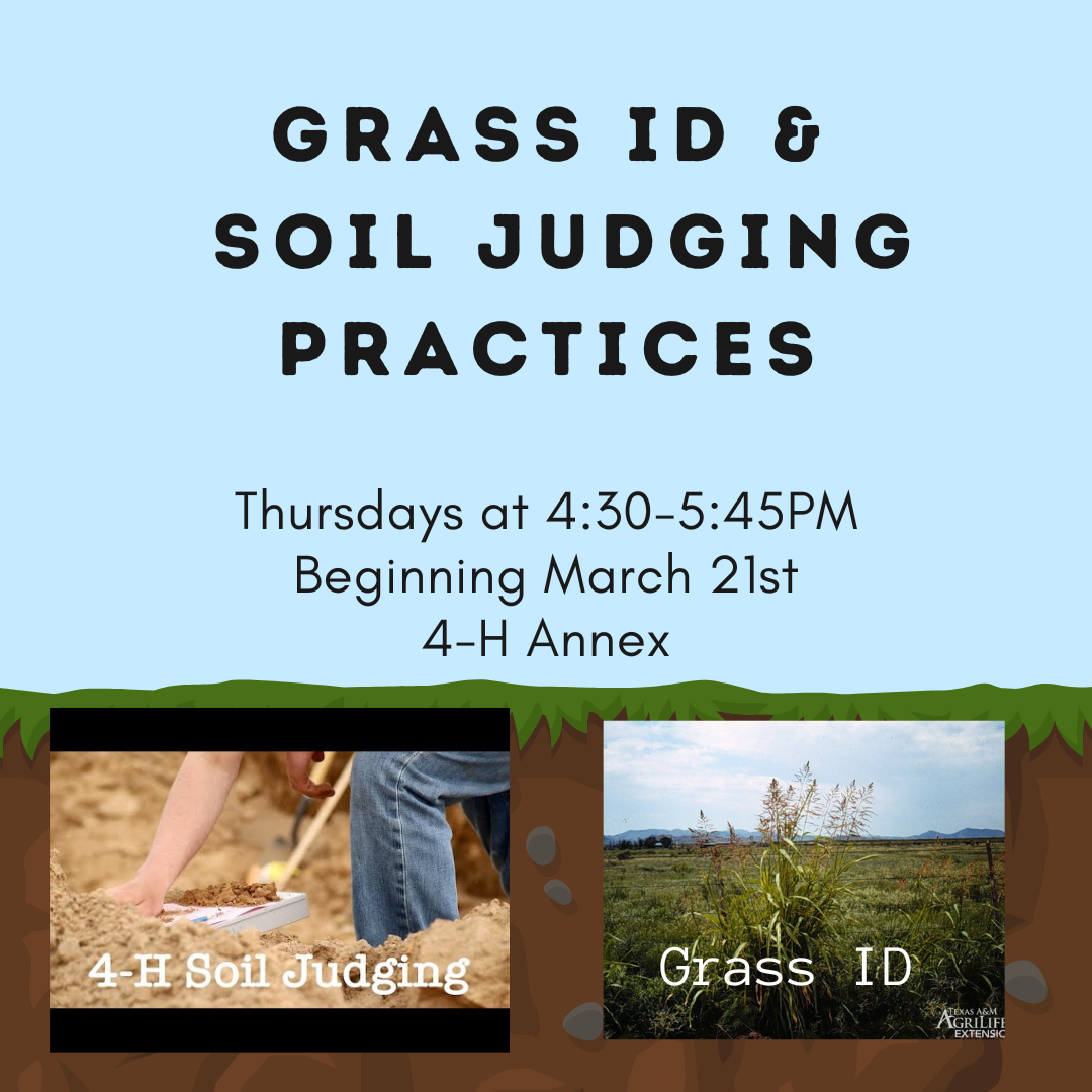 Grass ID Soil Judging Practices